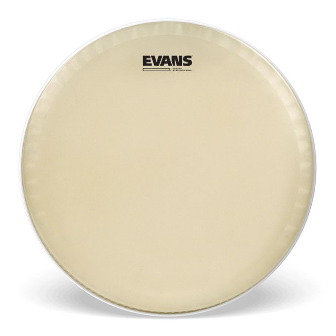 Hovedbilde Evans 14