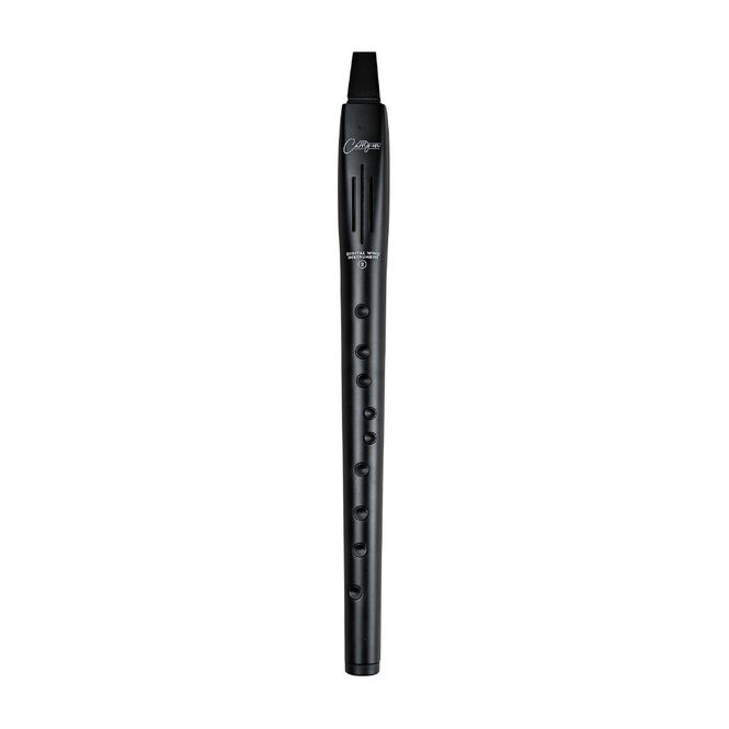 Hovedbilde Carry-on by Blackstar Digital Wind Instrument 2 Black