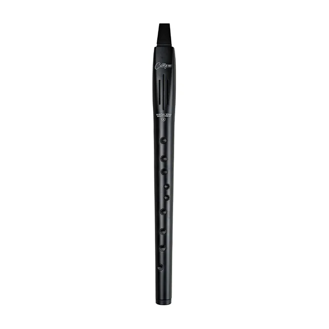 Hovedbilde Carry-on by Blackstar Digital Wind Instrument 2 Black